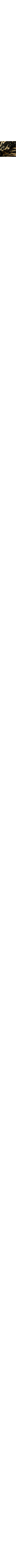 Noir à motifs