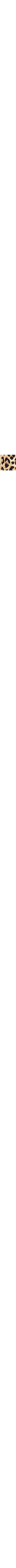 Brun à motifs