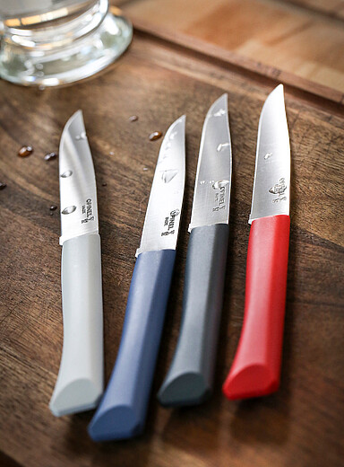Le coffret de couteaux de table Bon App&eacute;tit Ensemble de 4 pi&egrave;ces