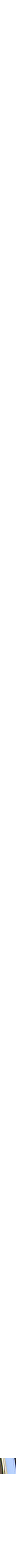 Assorti