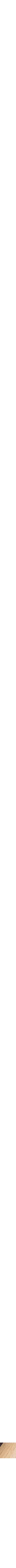 Assorti