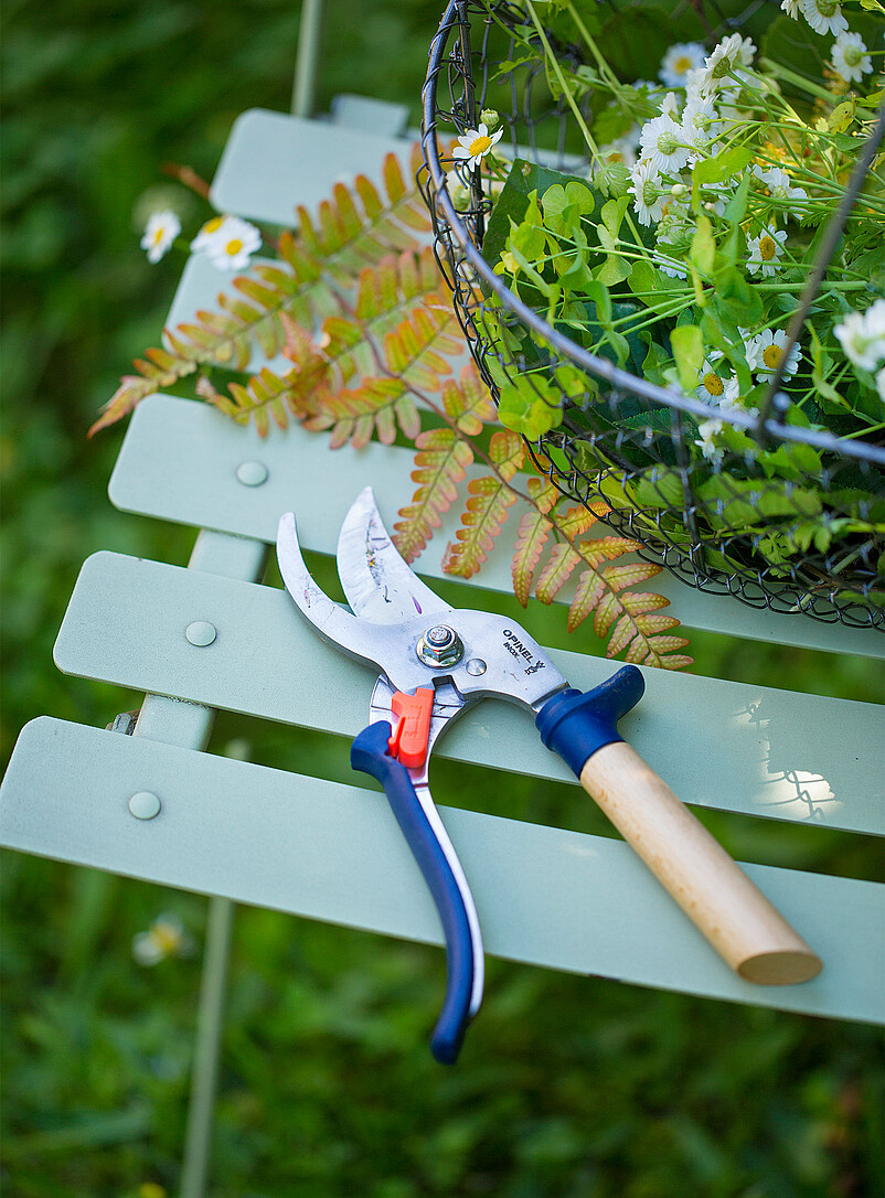 Beech wood and steel pruning shears product image (primary)