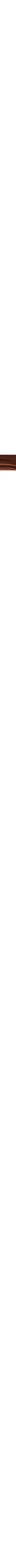 Brun à motifs