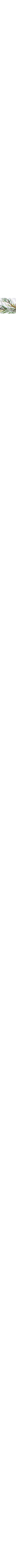Blanc à motifs
