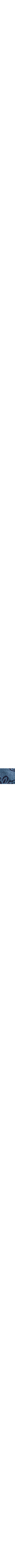 Patterned Blue