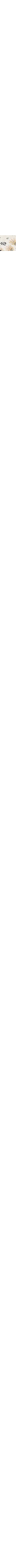 Écru à motifs