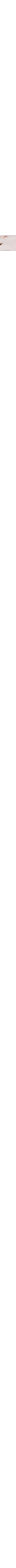 Patterned Ecru