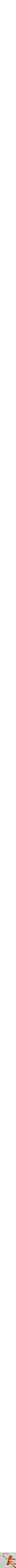 Bleu à motifs