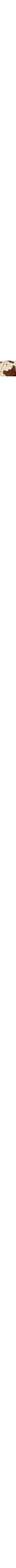 Brun assorti