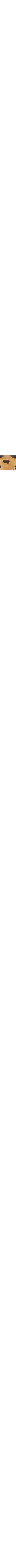 Brun à motifs