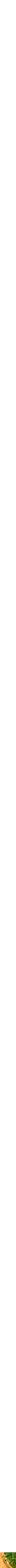 Assorti