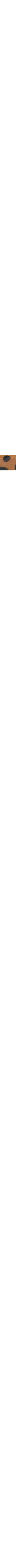 Brun à motifs