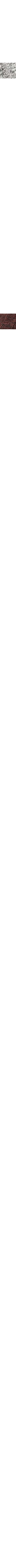Couleur non disponible