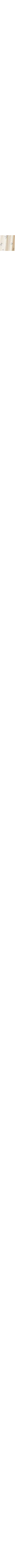 Patterned Ecru