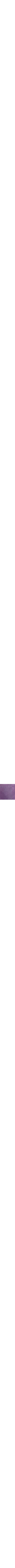 Pourpre
