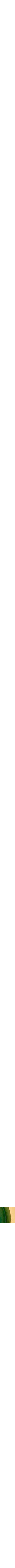 Assorti