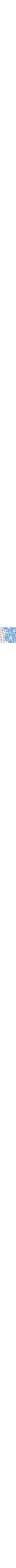 Bleu à motif
