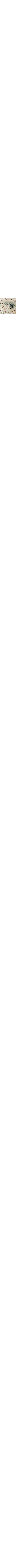 Blanc à motifs