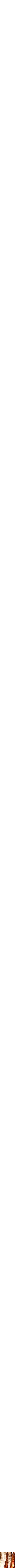 Assorti