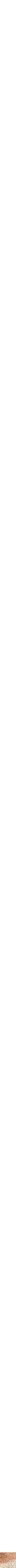 Assorti