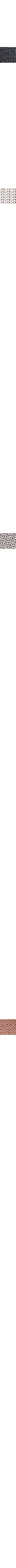 Charbon