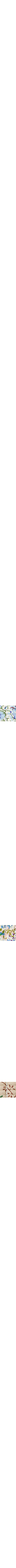 Pourpre à motifs