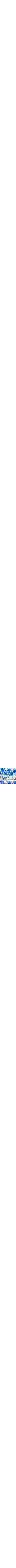 Patterned Blue