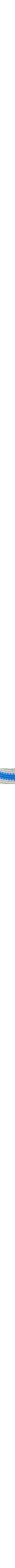 Patterned Blue