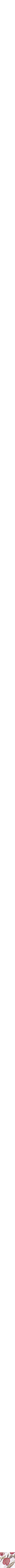 Assorti