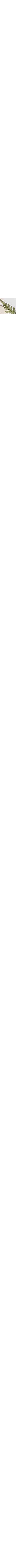 Blanc à motifs