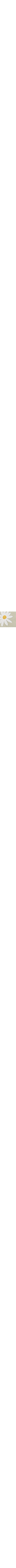 Vert à motifs