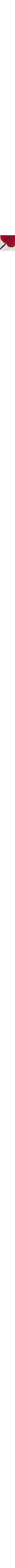 Patterned Ecru