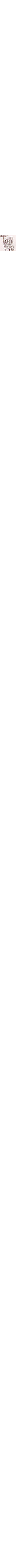 Patterned Ecru