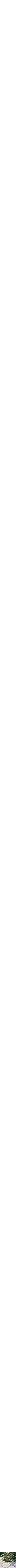 Marine à motifs