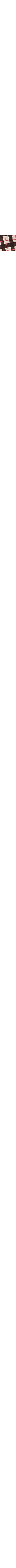 Patterned Ecru