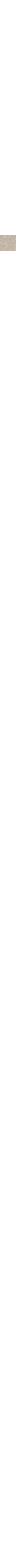 Écru à motifs