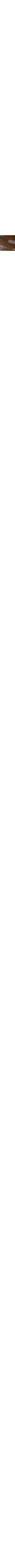 Patterned Ecru