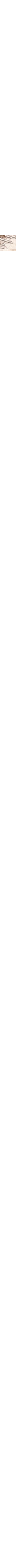 Patterned Ecru