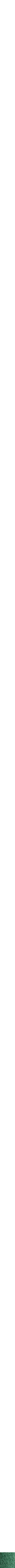 Assorti