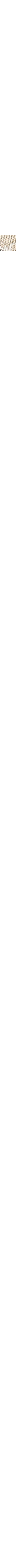 Patterned Ecru