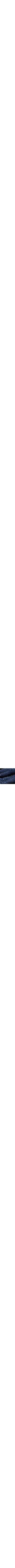 Patterned Blue