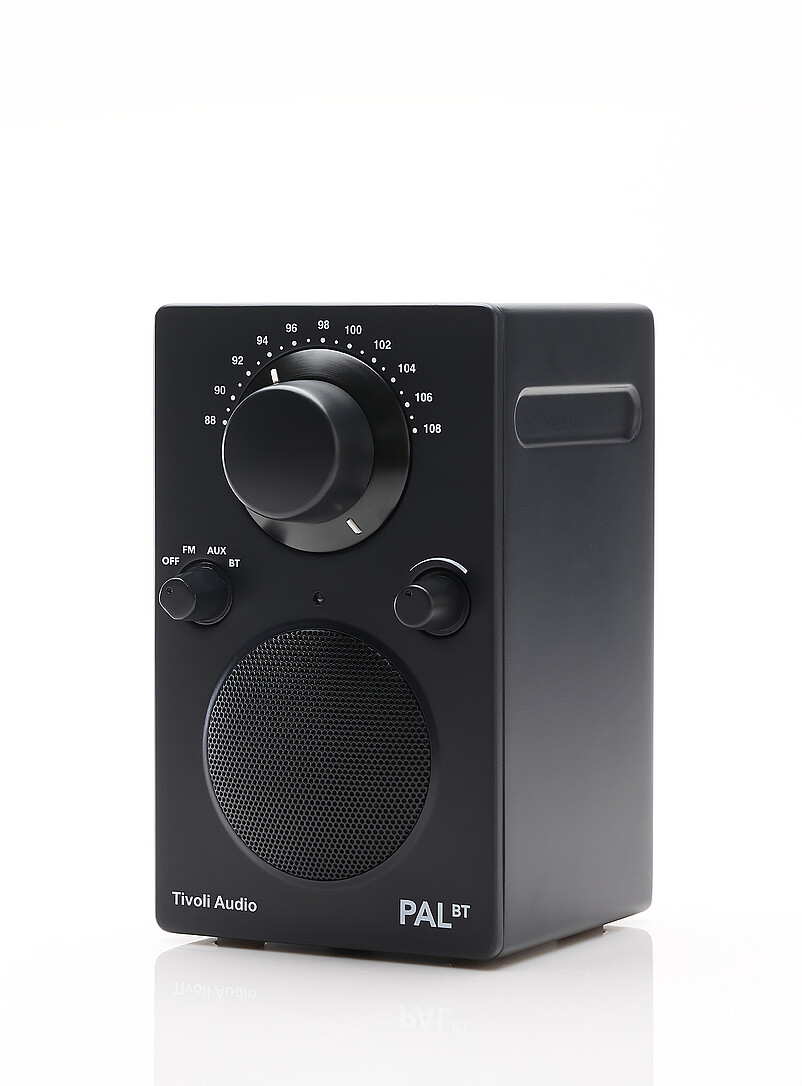 Pal Bluetooth Radio Speaker