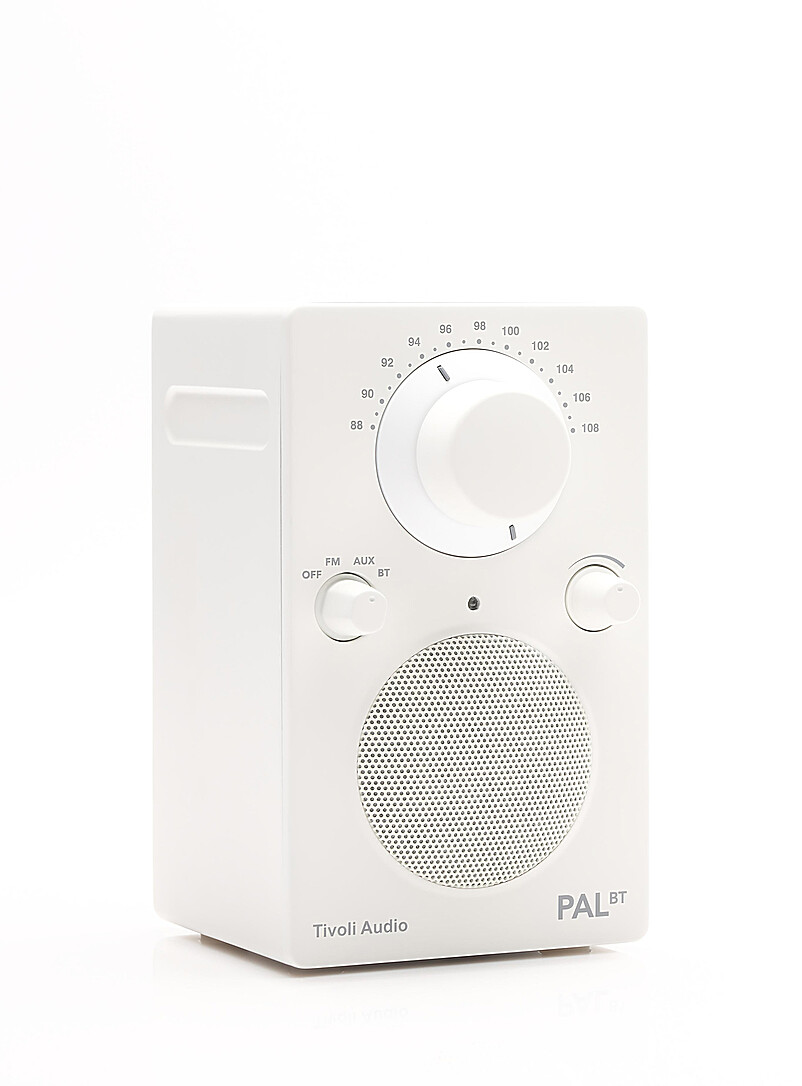 Pal Bluetooth Radio Speaker