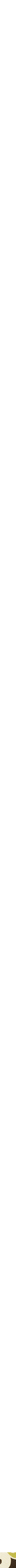 Assorti