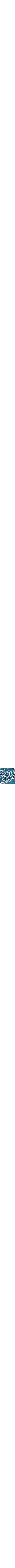 Patterned Blue