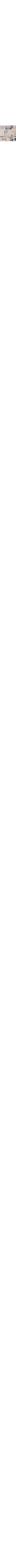 Gris à motifs