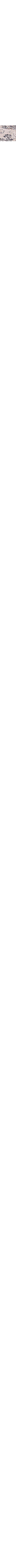Gris à motifs