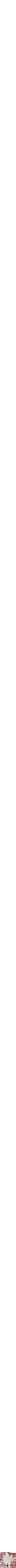 Assorti