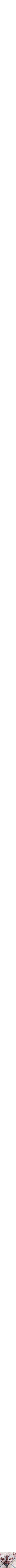 Assorti