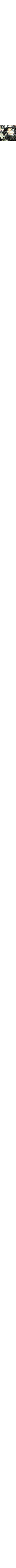 Gris à motifs